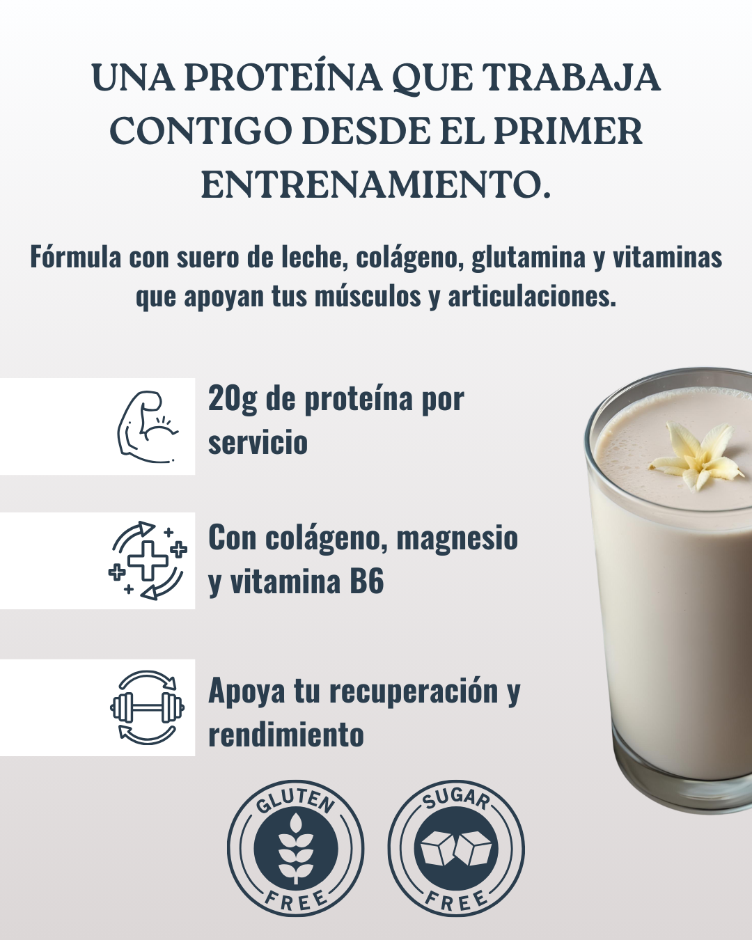 Batido de proteinas concentrado de vainilla